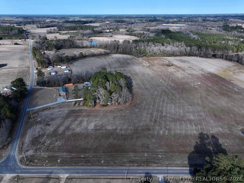 a view of a dry yard with trees