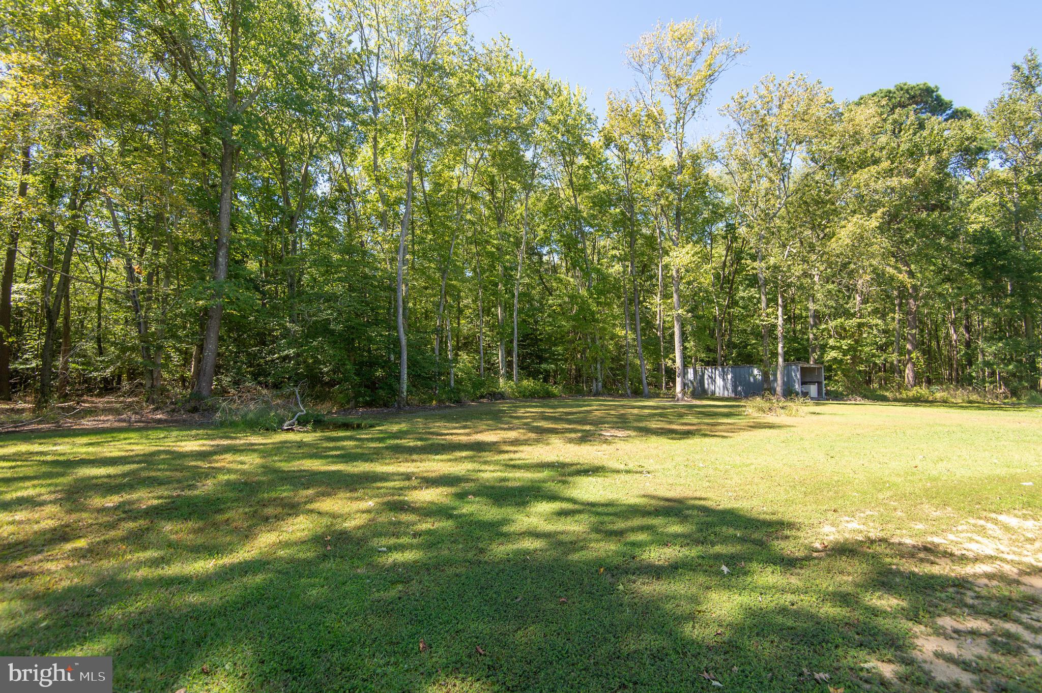 4036 Bestpitch Ferry Road Cambridge, MD 21613 - Photo 33 of 34 Beautiful lot backs to trees