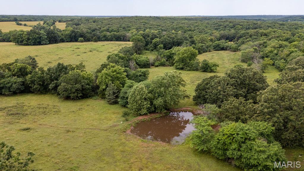 30-ac South 220th Road Half Way, MO 65663 - Photo 34 of 49