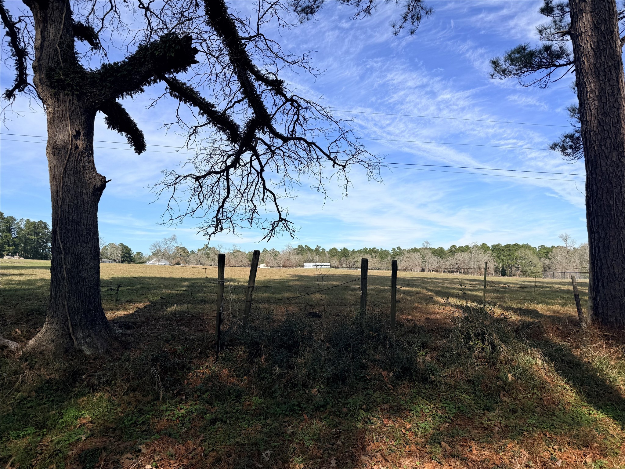 Tbd Tbd Forest Trace Road Richards, TX 77873 - Photo 12 of 14 a view of lake view with lots of trees