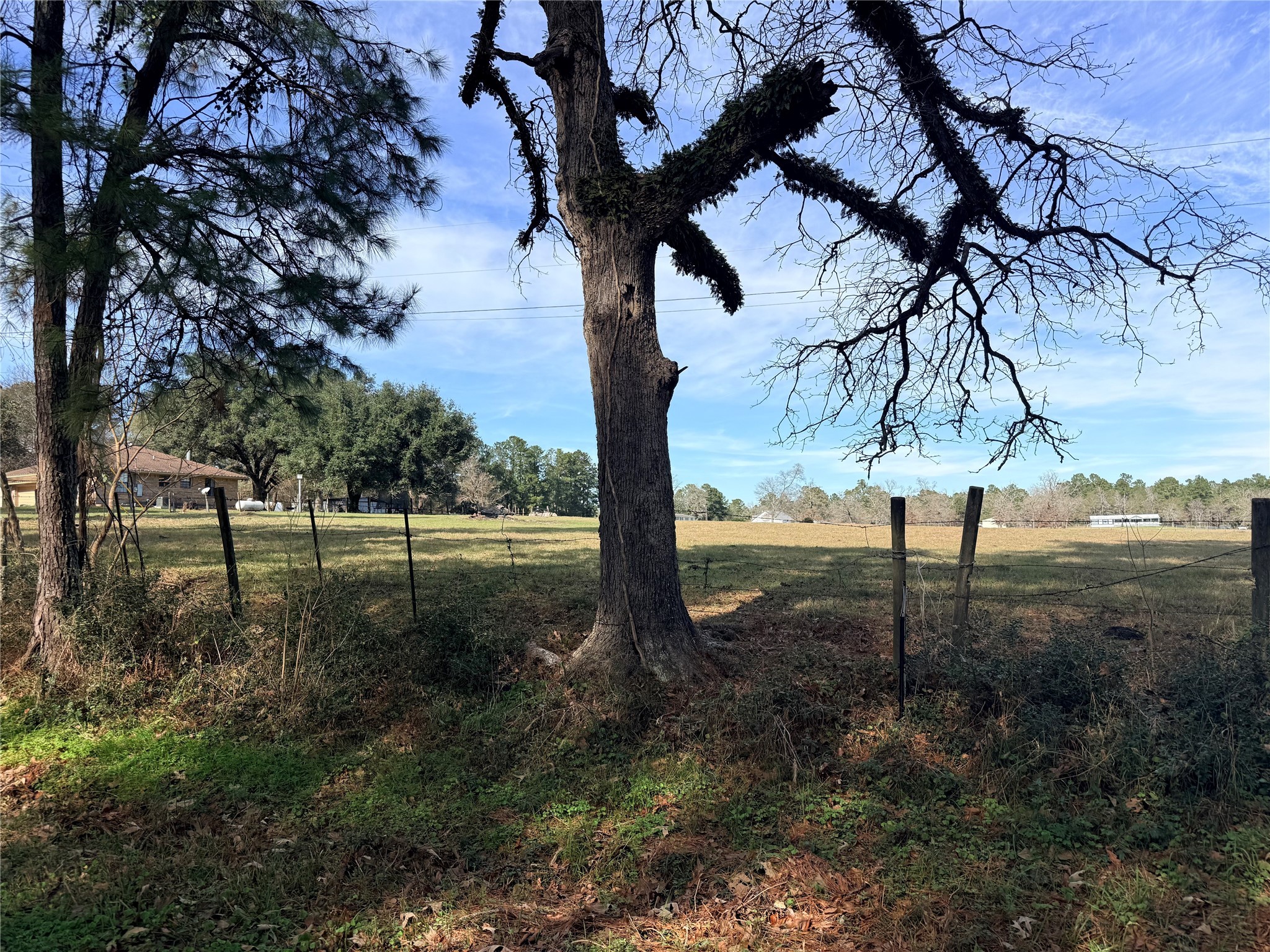 Tbd Tbd Forest Trace Road Richards, TX 77873 - Photo 14 of 14 a view of a yard in a yard