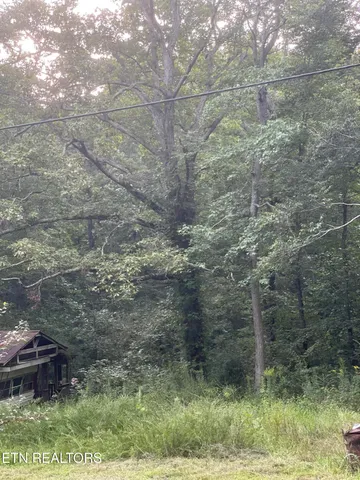 $80,000 | 3209 Scott Highway, Elgin, TN 37852