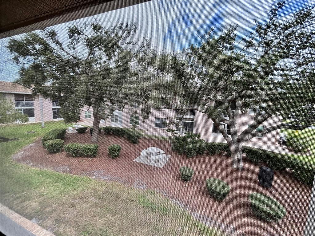 4826 Myrtle Oak Drive, Unit 23 New Port Richey, FL 34653 - Photo 18 of 42 a backyard of a house with barbeque oven table and chairs