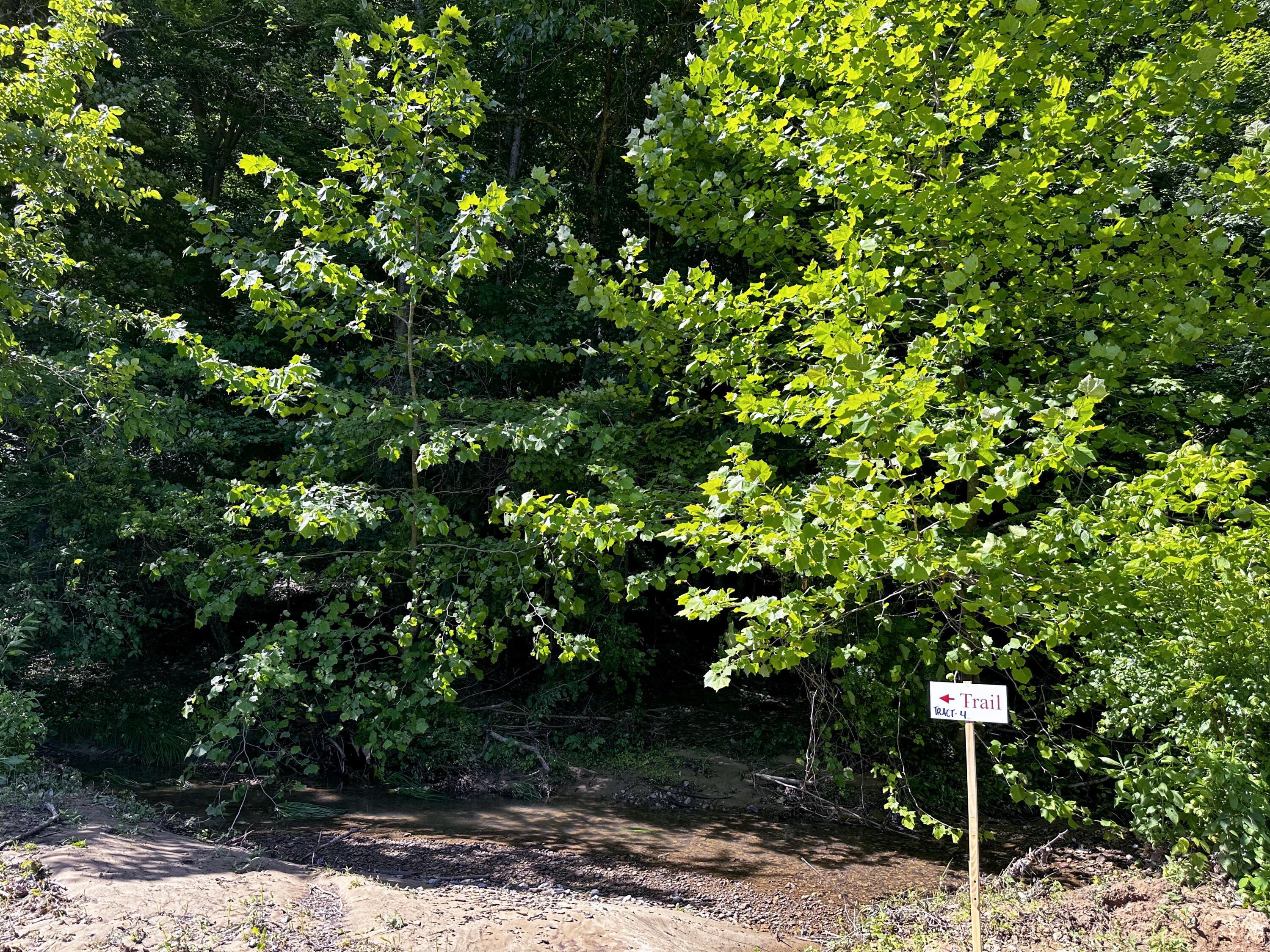 1725 Hull Road, Unit TRACT 4 WOODS WAYNE FOREST) Patriot, OH 45658 - Photo 25 of 45 20240607_143254900_iOS