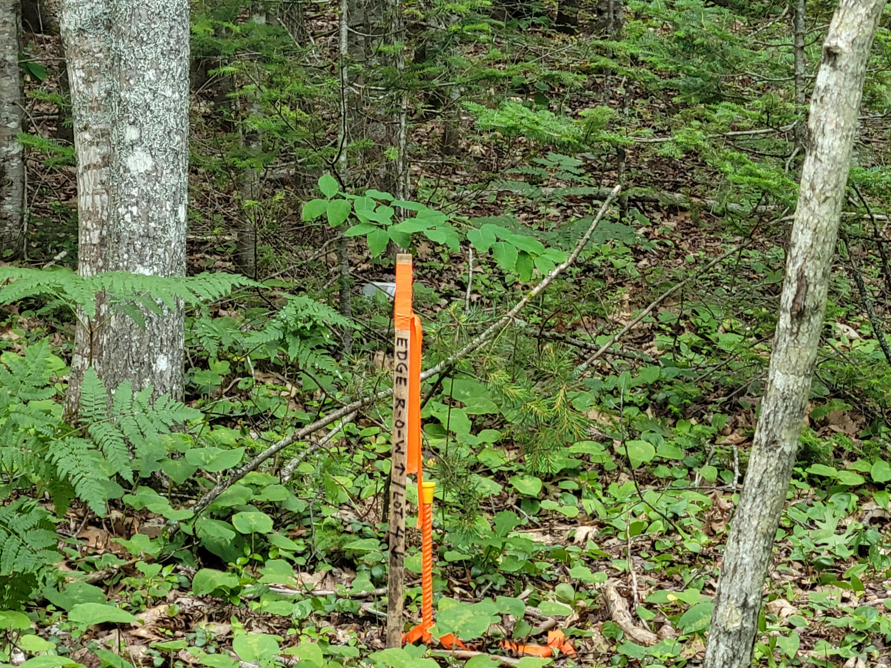 12 Matty Way Franklin, ME 04634 - Photo 1 of 18 20210708_104723