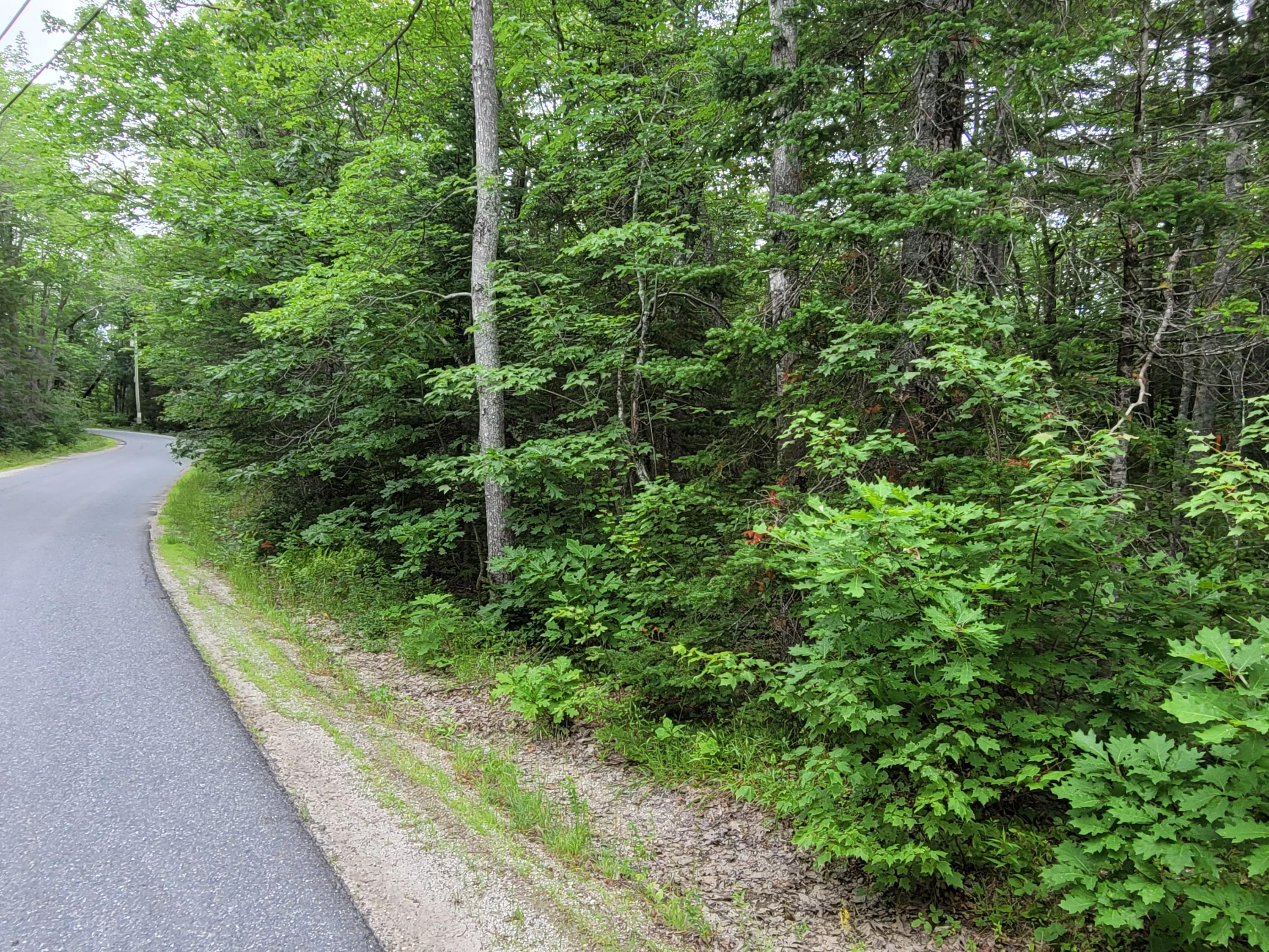 12 Matty Way Franklin, ME 04634 - Photo 11 of 18 20210708_104827