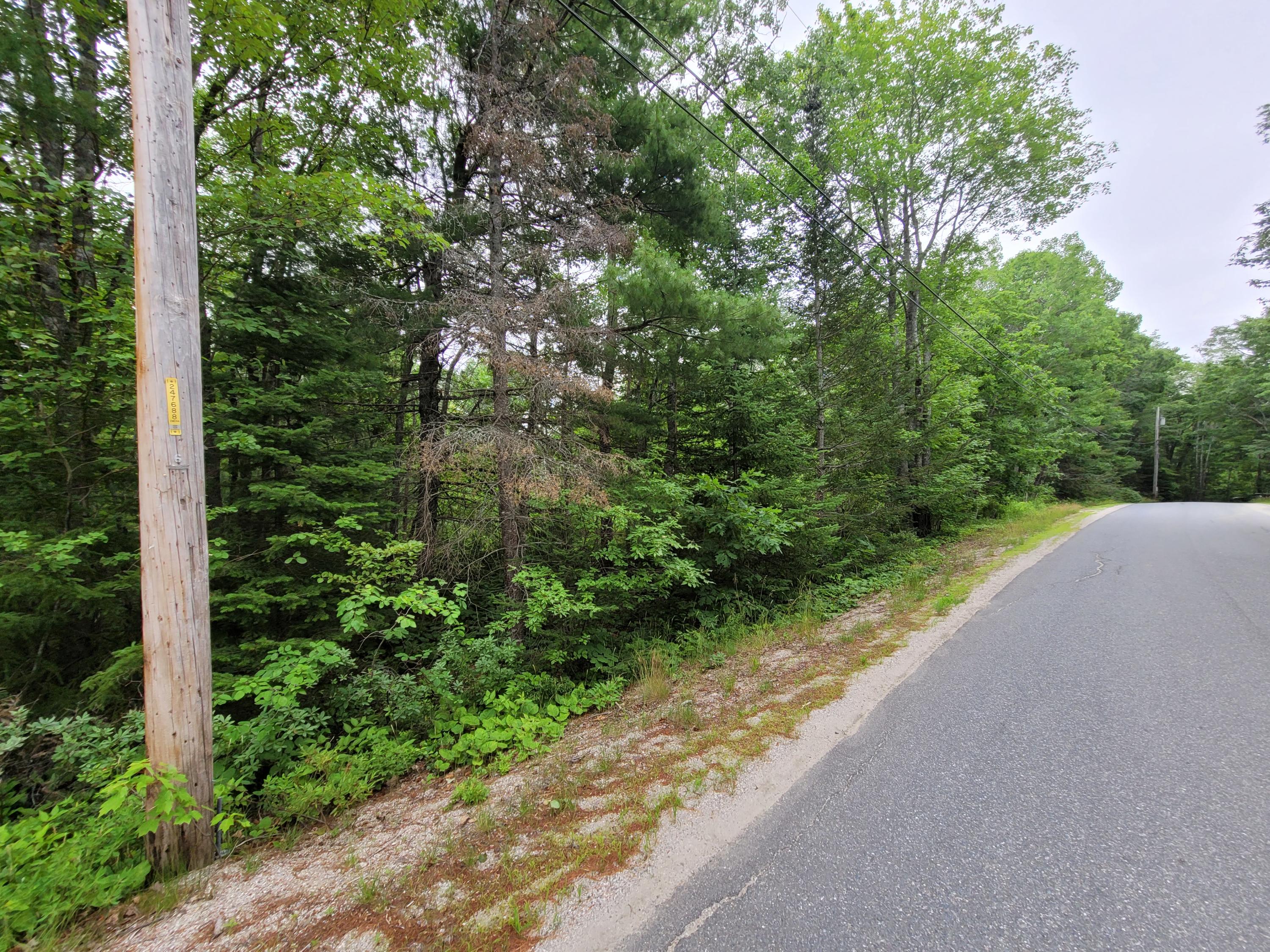 12 Matty Way Franklin, ME 04634 - Photo 16 of 18 20210708_105157