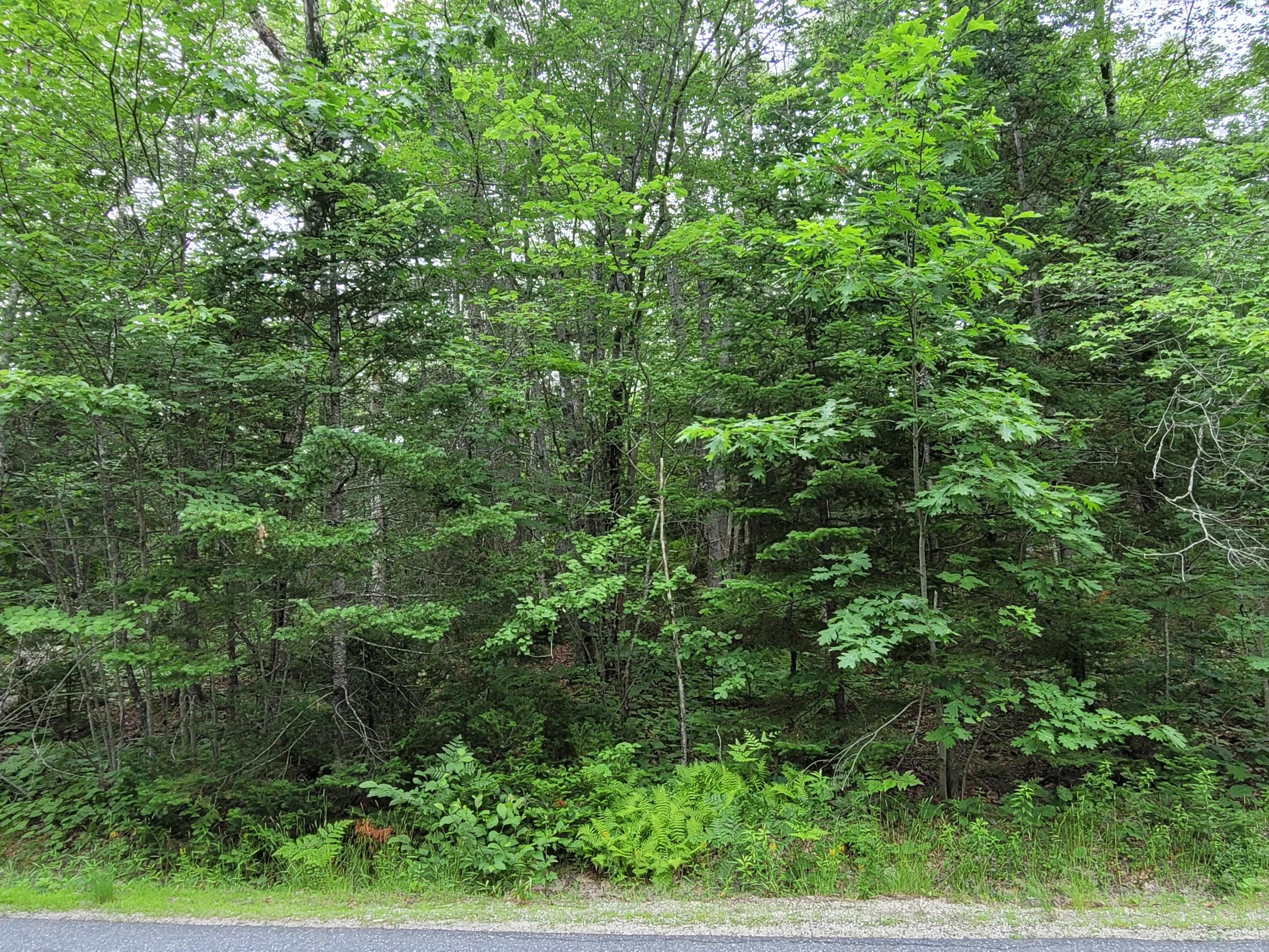 12 Matty Way Franklin, ME 04634 - Photo 7 of 18 20210708_104844