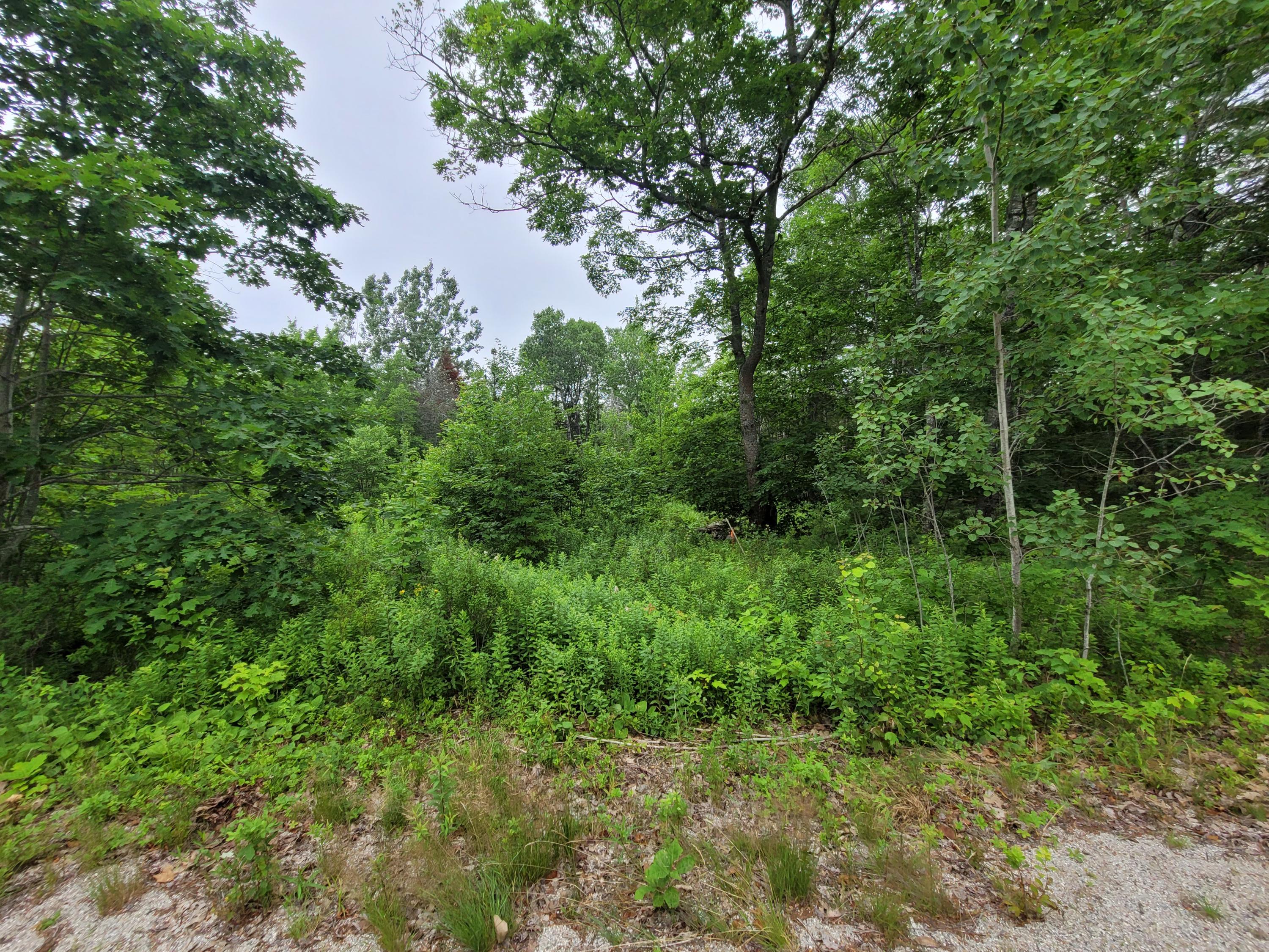 12 Matty Way Franklin, ME 04634 - Photo 8 of 18 20210708_105026