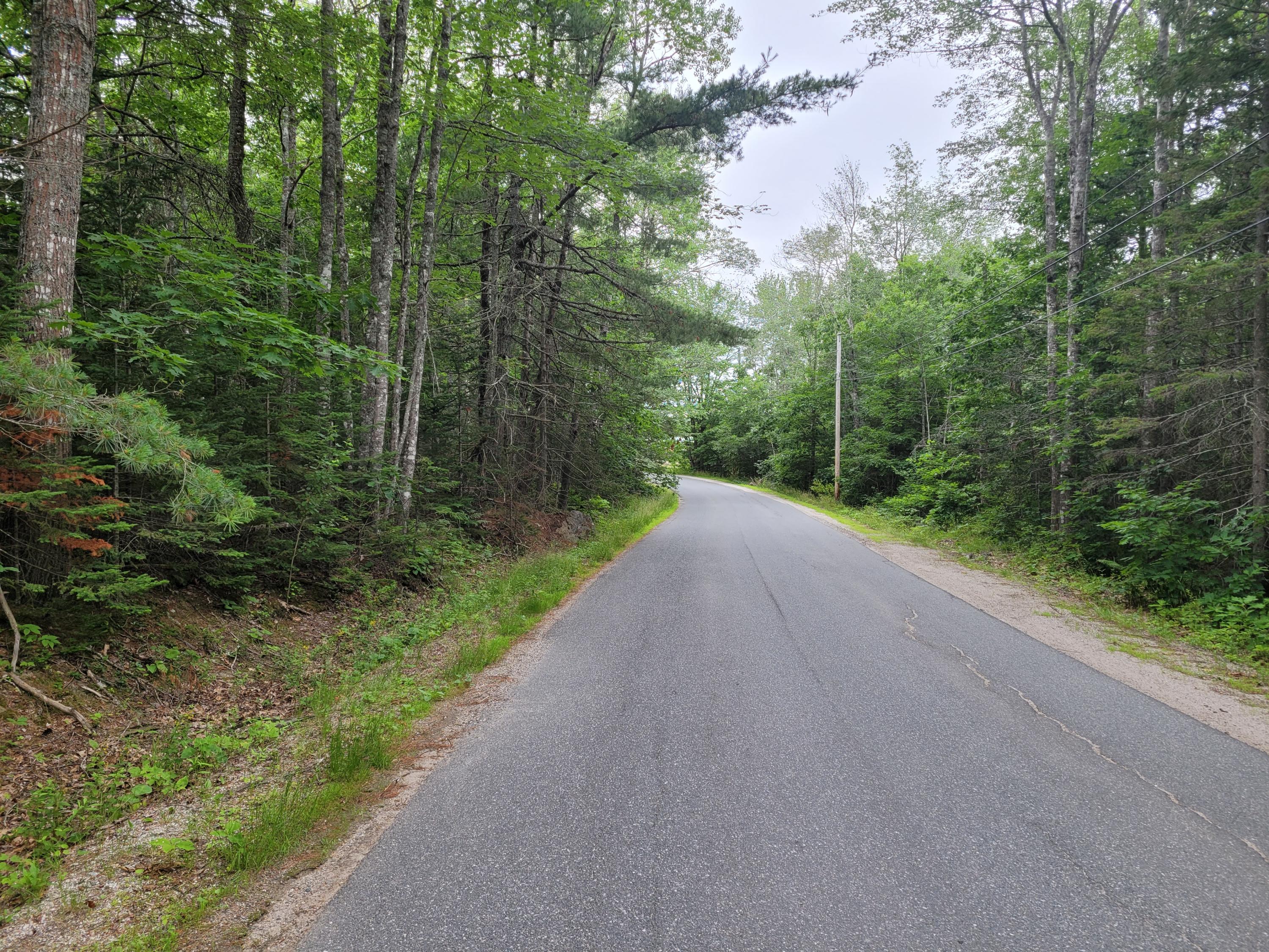 12 Matty Way Franklin, ME 04634 - Photo 9 of 18 20210708_104638