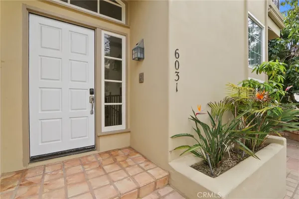 a potted plant sitting in front of a door