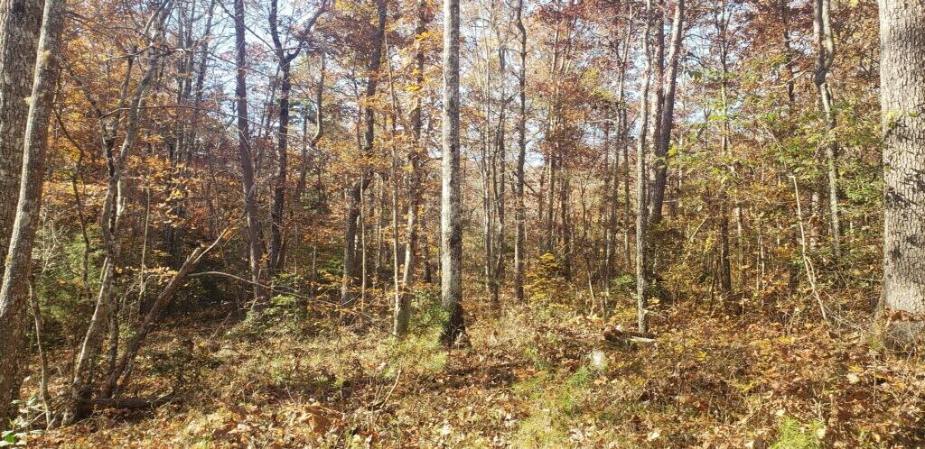 2503 Barker Camp Road Dunlap, TN 37327 - Photo 1 of 2 imagejpeg-0
