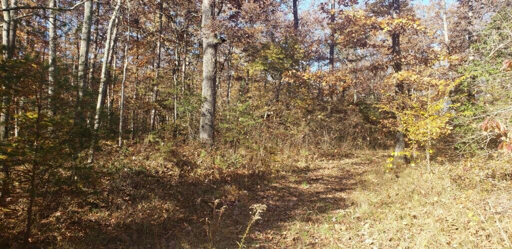 2503 Barker Camp Road Dunlap, TN 37327 - Photo 2 of 2 imagejpeg-0 (1)