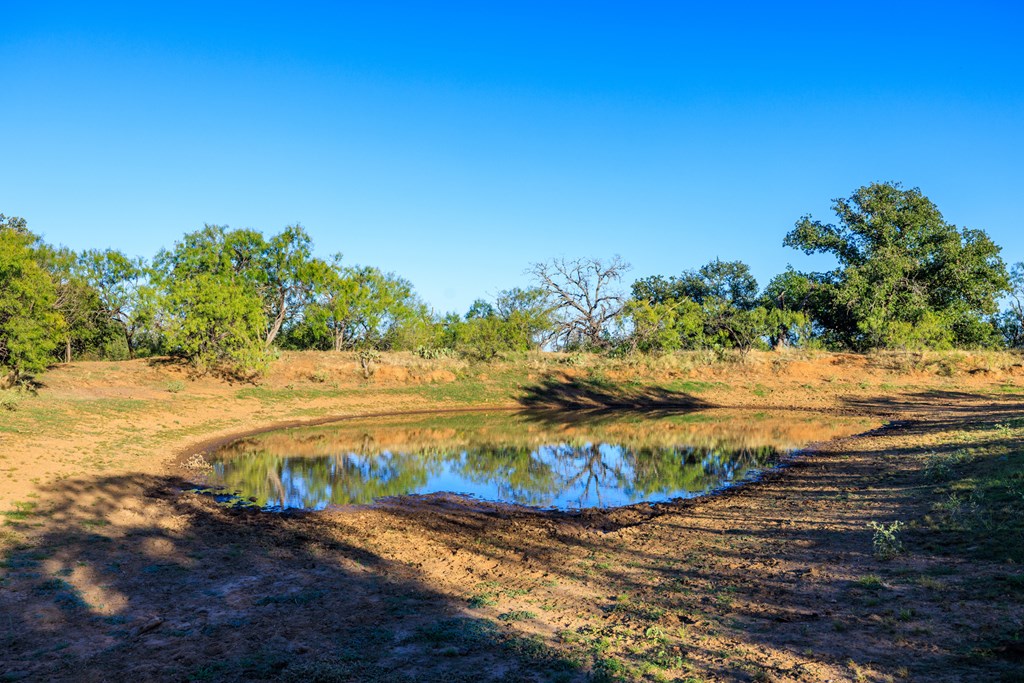 15528 Eaton Cemetery Road Pontotoc, TX 76869 - Photo 9 of 73 Gallery Image 9