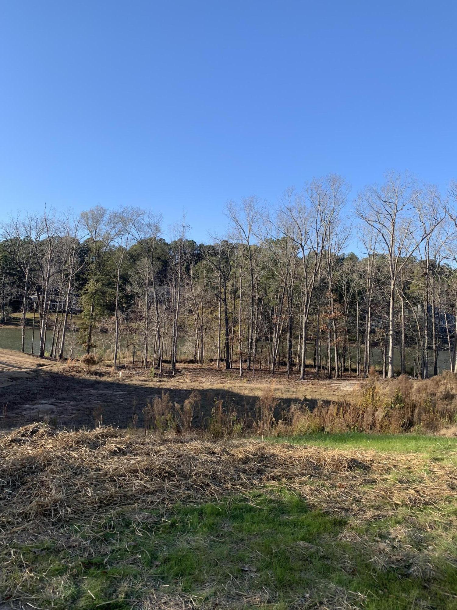Lot 7 River Birch Road Aiken, SC 29803 - Photo 2 of 10 Gallery Image 2