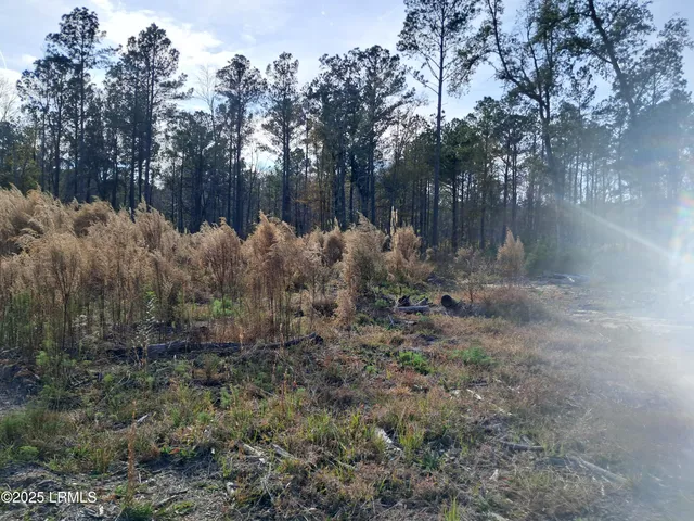 $400,000 | Tbd Ricochet Lane, Ruffin, SC 29475