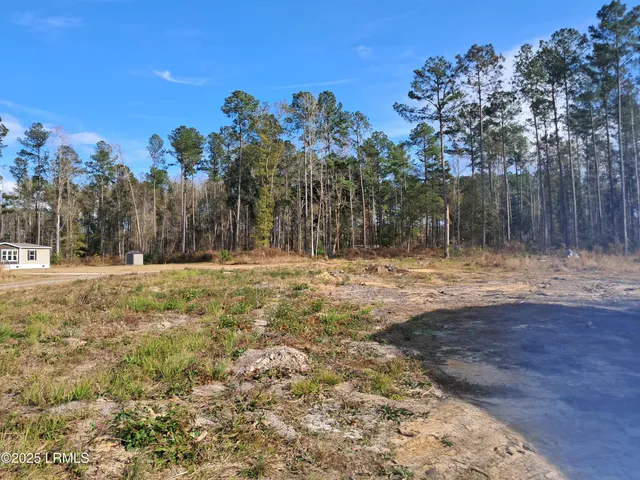 $400,000 | Tbd Ricochet Lane, Ruffin, SC 29475