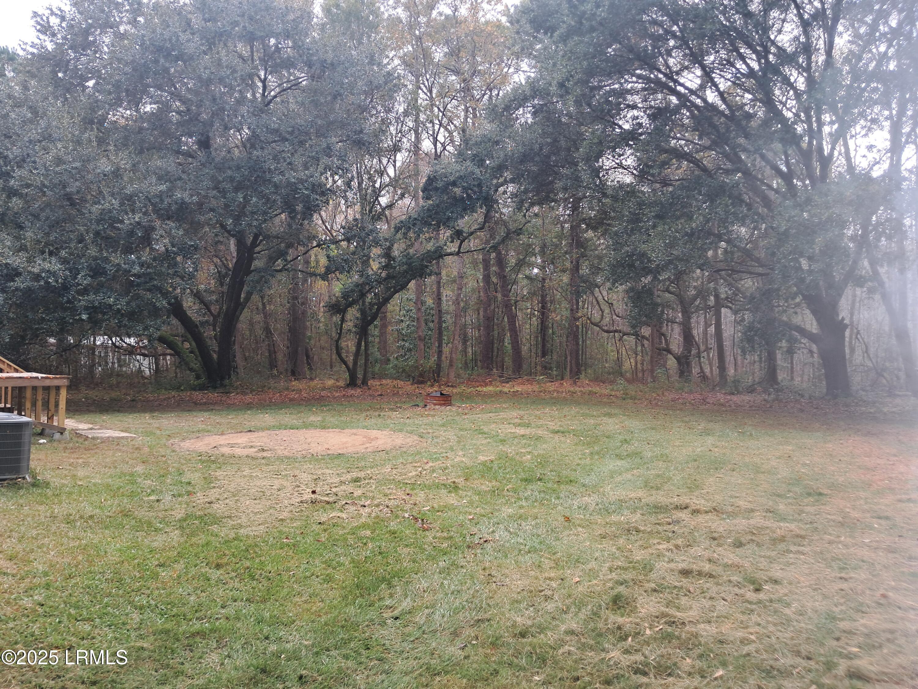 Tbd Ricochet Lane Ruffin, SC 29475 - Photo 14 of 16 20251122_114350