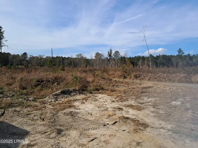 $400,000 | Tbd Ricochet Lane, Ruffin, SC 29475