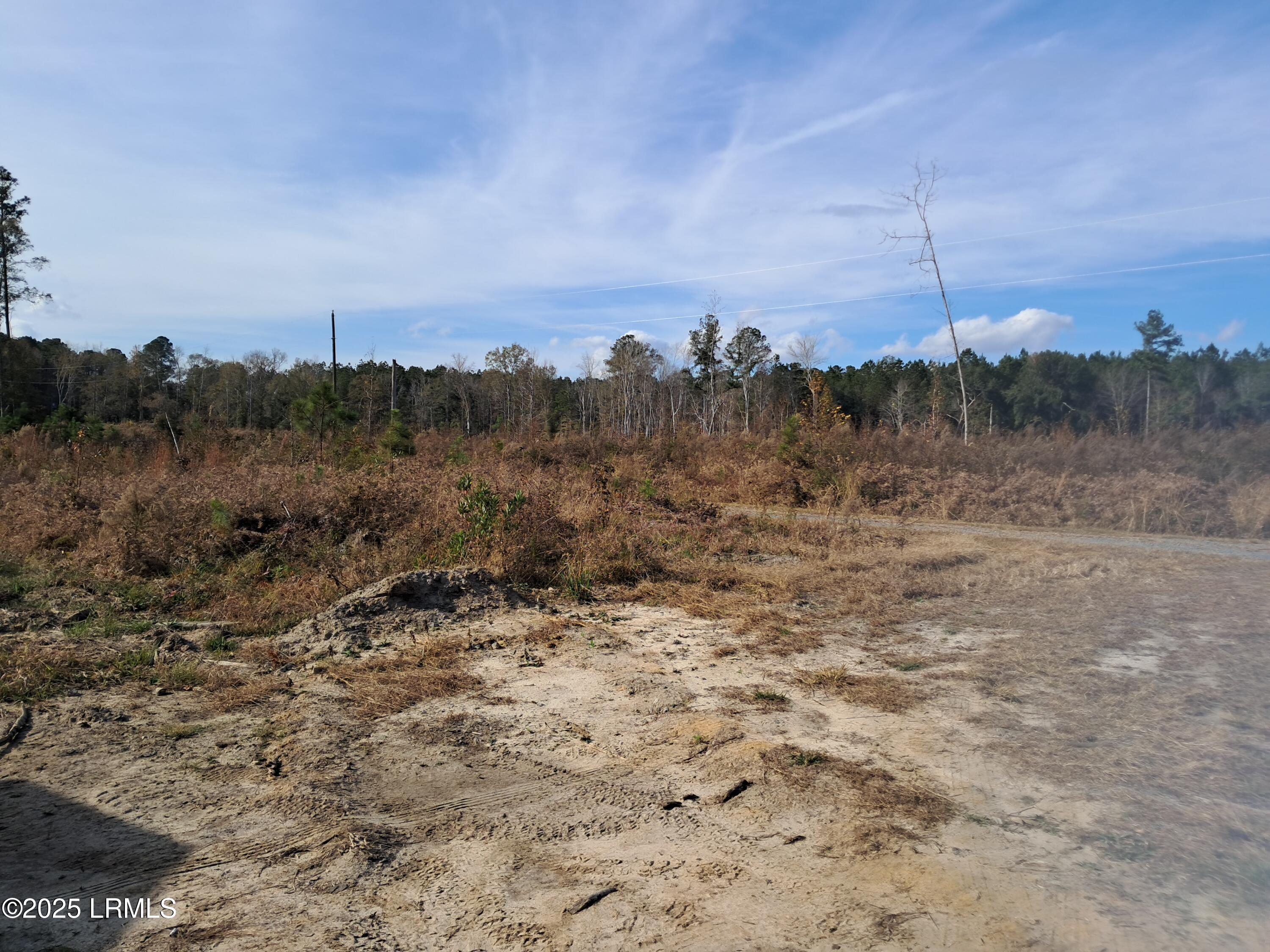 Tbd Ricochet Lane Ruffin, SC 29475 - Photo 16 of 16 20251126_134512