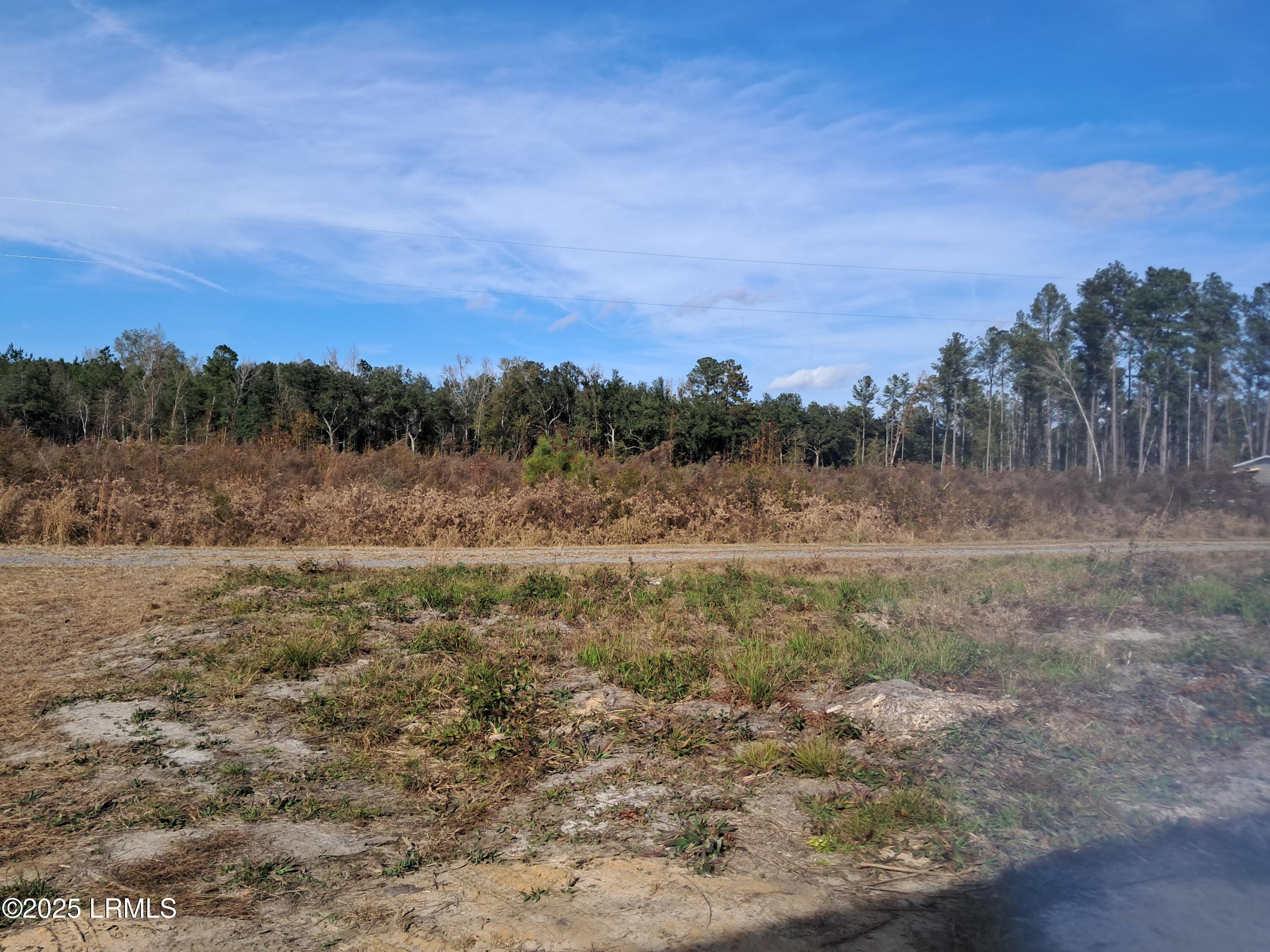 Tbd Ricochet Lane Ruffin, SC 29475 - Photo 7 of 16 1000025892