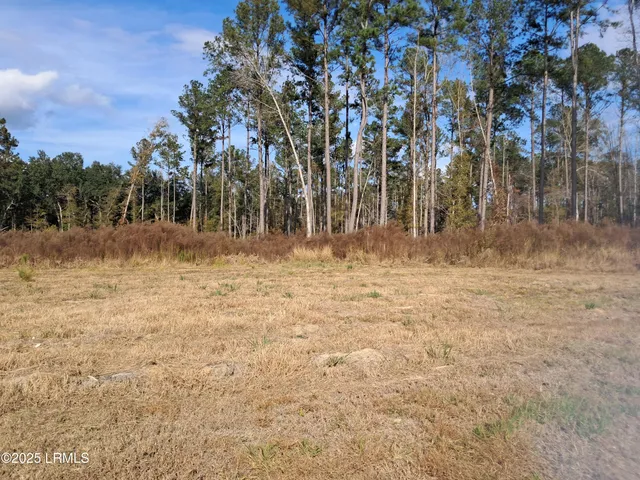 $400,000 | Tbd Ricochet Lane, Ruffin, SC 29475