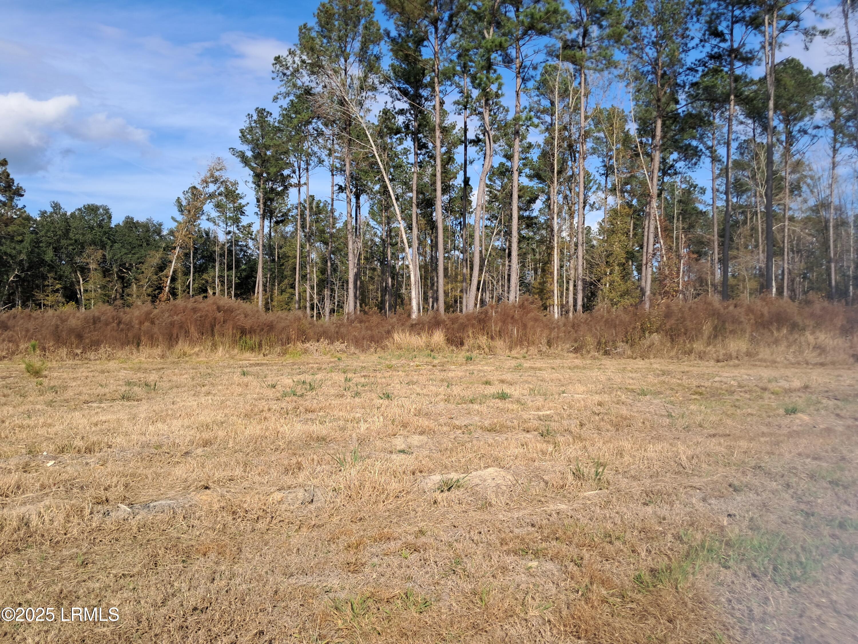 Tbd Ricochet Lane Ruffin, SC 29475 - Photo 8 of 16 1000025880