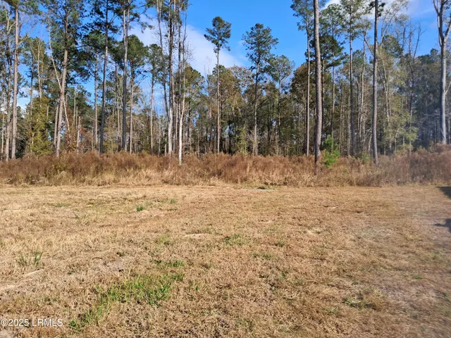 $400,000 | Tbd Ricochet Lane, Ruffin, SC 29475