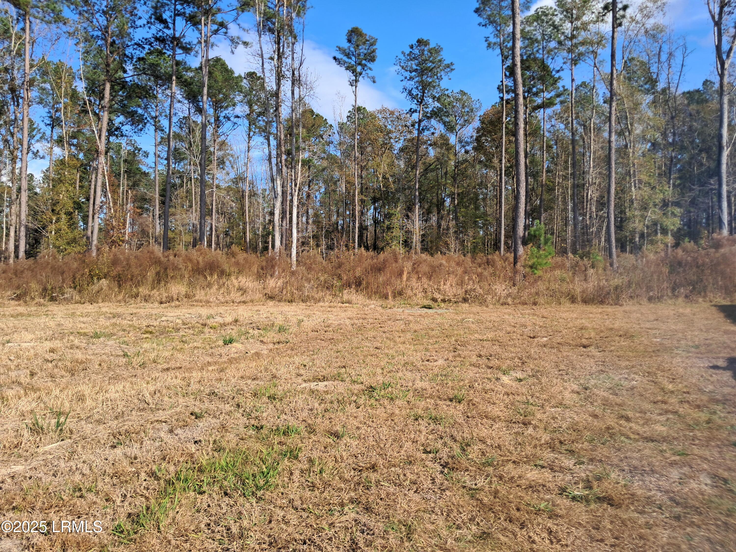 Tbd Ricochet Lane Ruffin, SC 29475 - Photo 9 of 16 1000025881