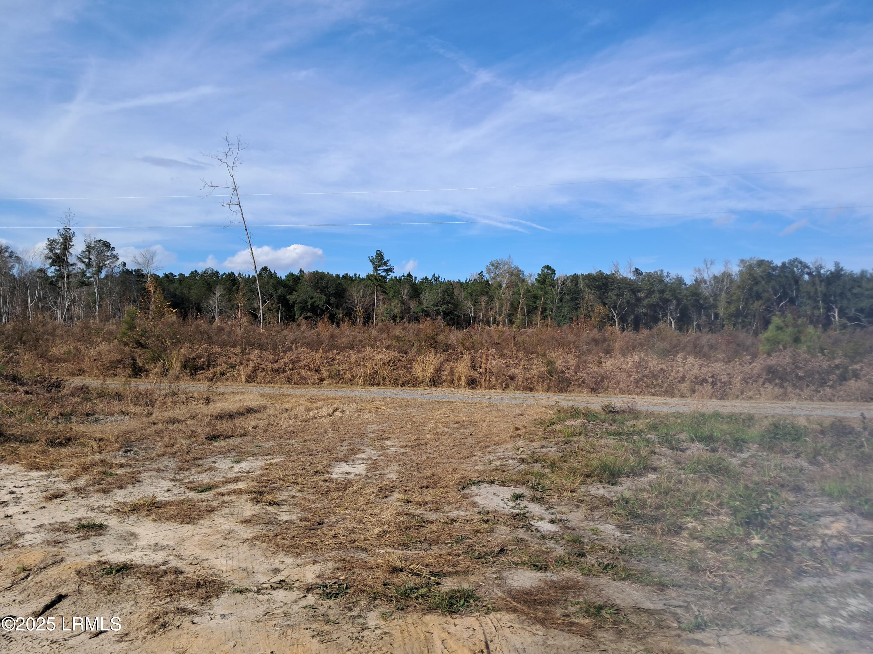 Tbd Ricochet Lane Ruffin, SC 29475 - Photo 10 of 16 1000025893 (1)