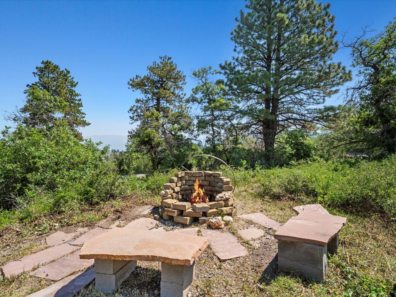 55 Valley View Road Ridgway, CO 81432 - Photo 39 of 39 a view of a yard with furniture