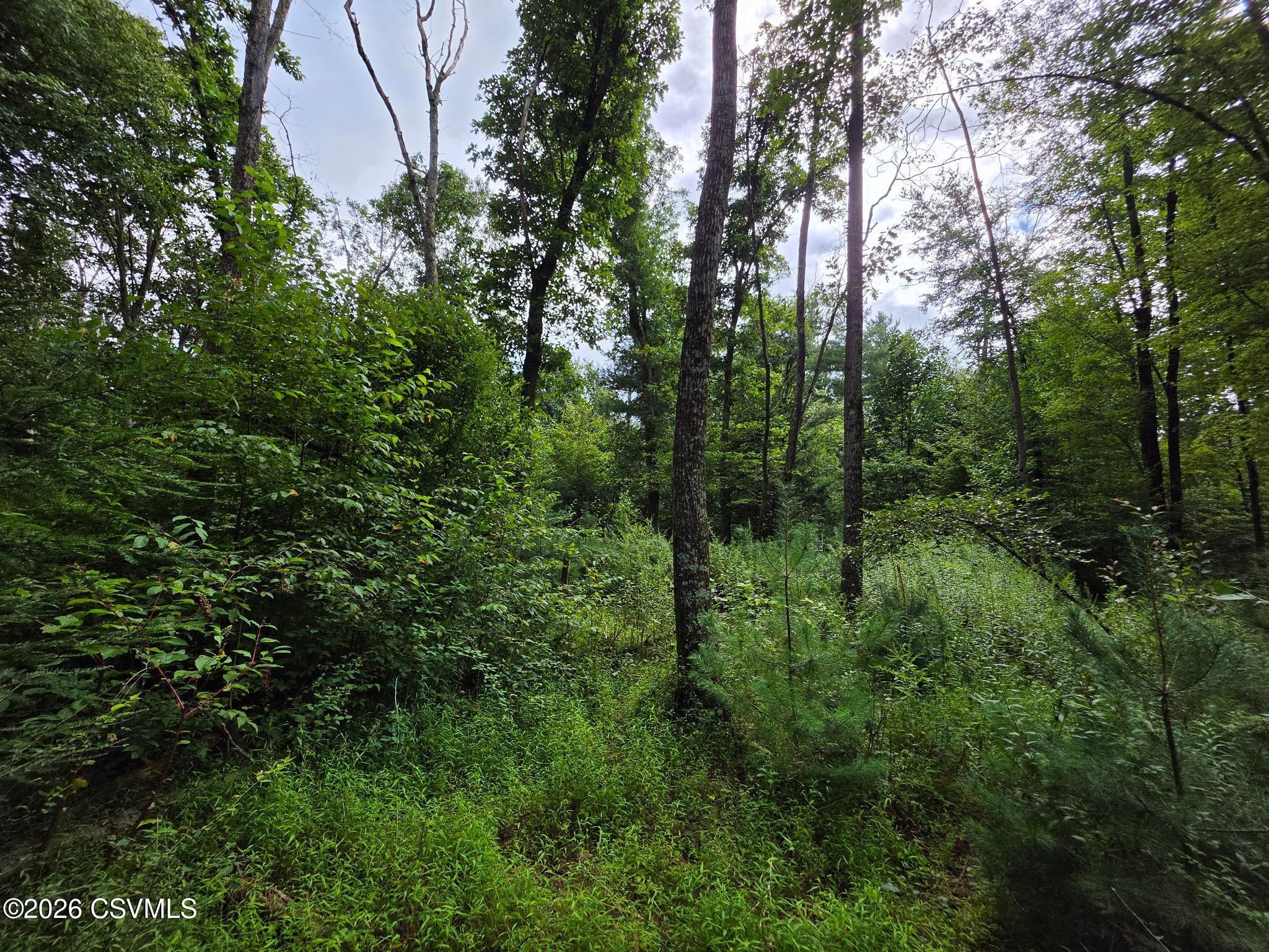 6102 Troxelville Road Beavertown, PA 17813 - Photo 14 of 43 Gallery Image 14