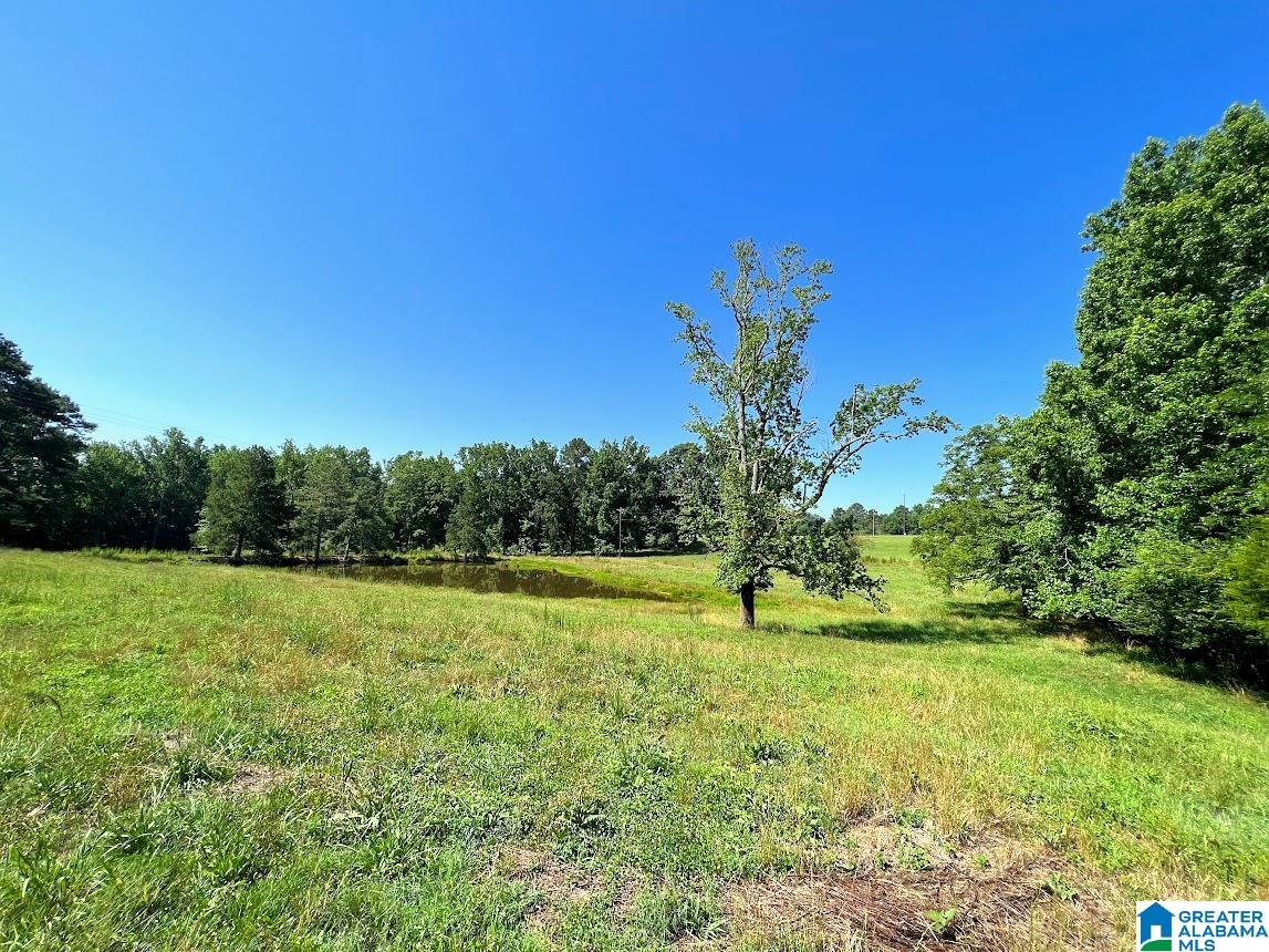 0 County Road 10, Unit X Ranburne, AL 36273 - Photo 21 of 32