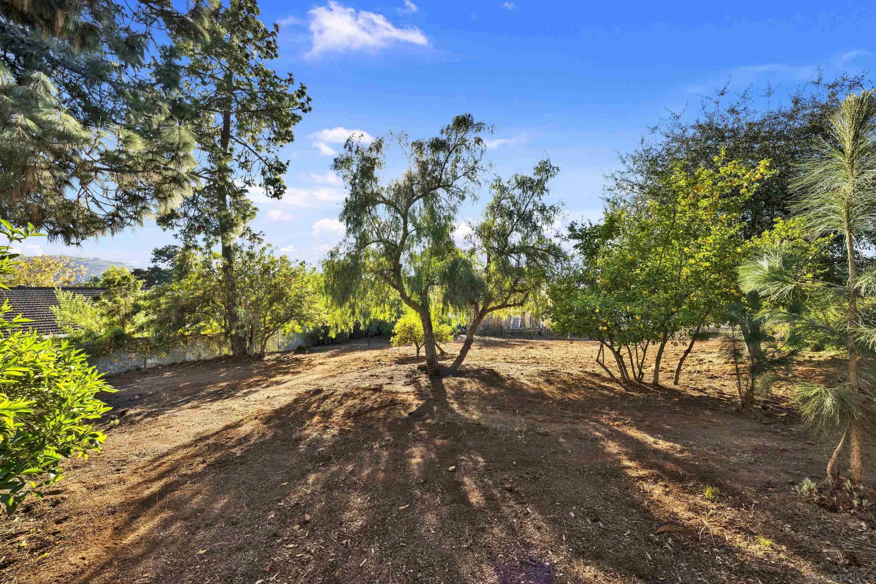 14407 Mountain Road Poway, CA 92064 - Photo 67 of 75 a view of a yard with a tree