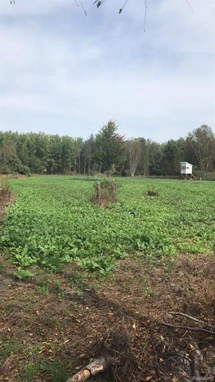 Tbd West Mann Road Port Sanilac, MI 48469 - Photo 2 of 9 Gallery Image 2