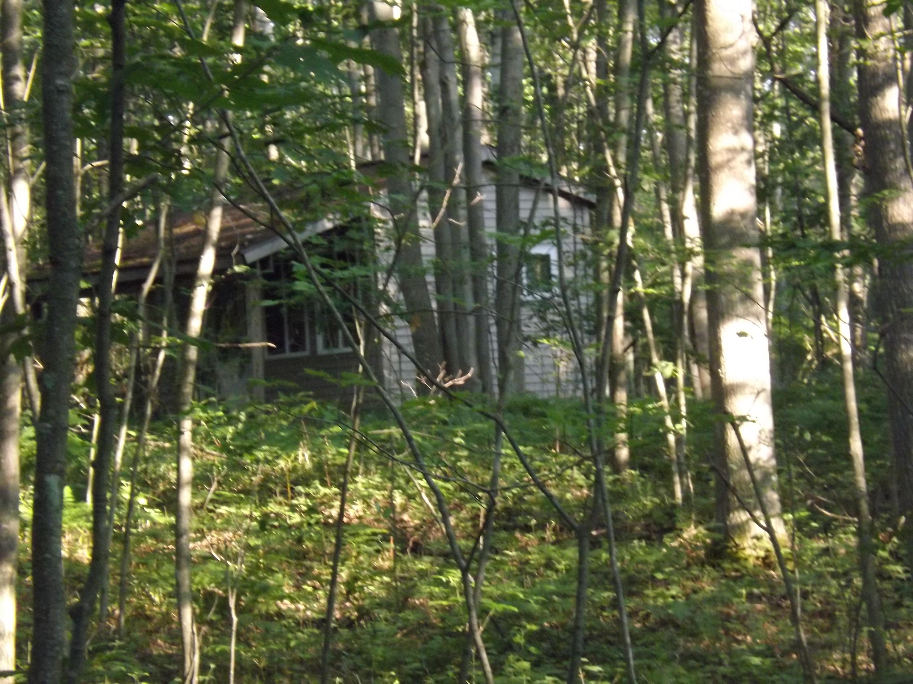Coville Road Mikado, MI 48745 - Photo 10 of 16 Gallery Image 10