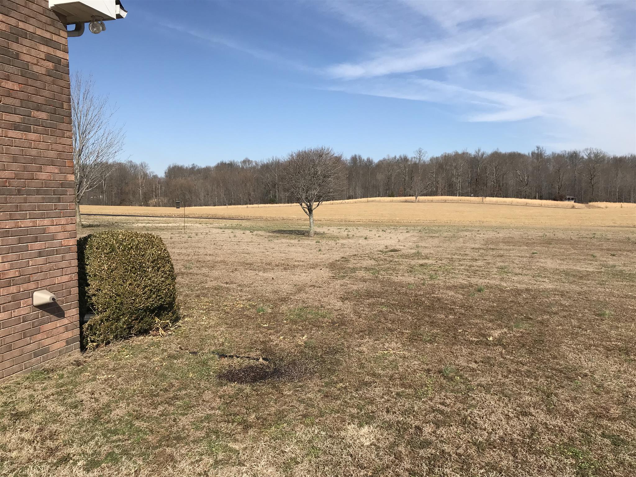 View From The Front Porch