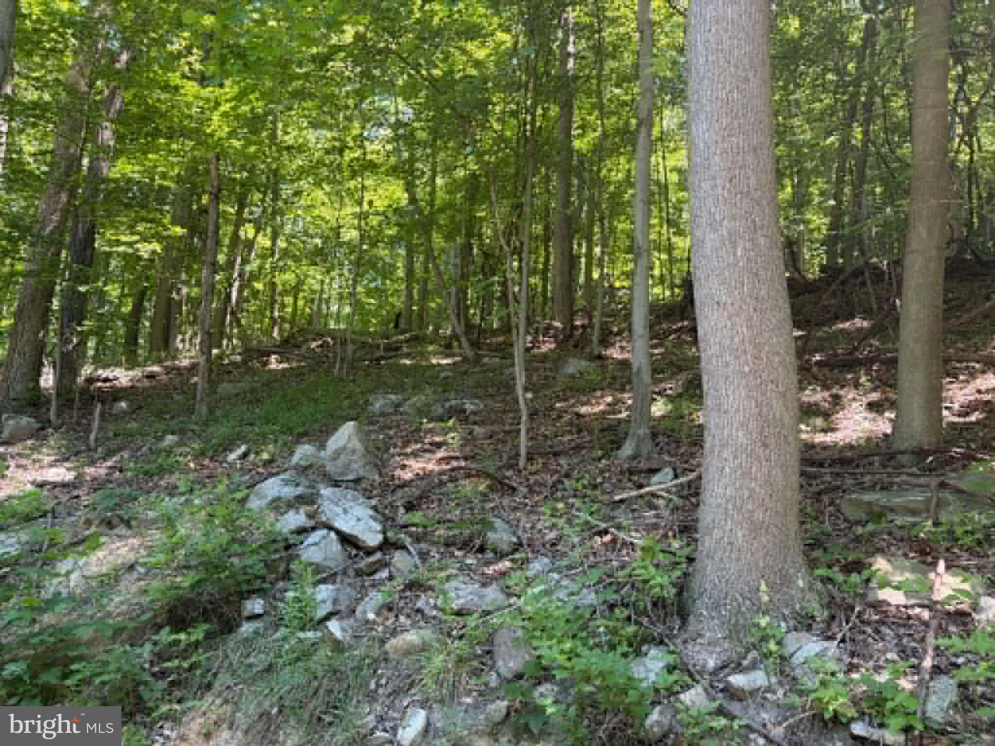 1515 Barnum Road Keyser, WV 26726 - Photo 14 of 64
