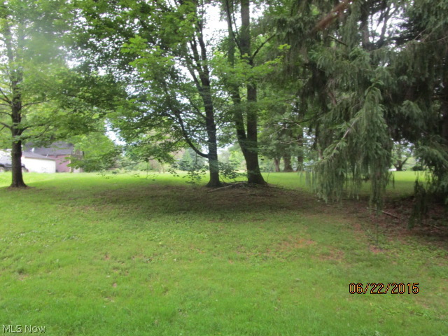 1117 Proctor Road Akron, OH 44306 - Photo 6 of 6