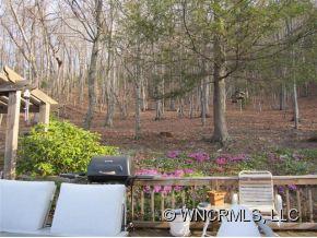 250 Sandy Branch Road Balsam Grove, NC 28708 - Photo 8 of 12 Gallery Image 8