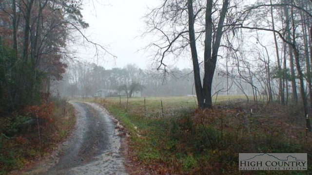 Forest Drive Ronda, NC 28670 - Photo 1 of 1 Gallery Image 1