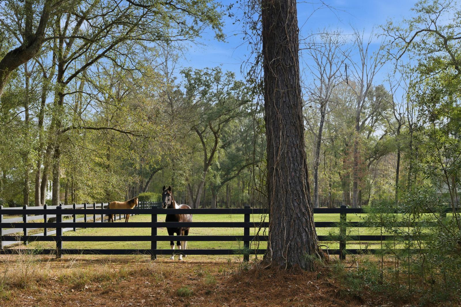 1334 Old Rosebud Trail Mount Pleasant, SC 29429 - Photo 96 of 108 89