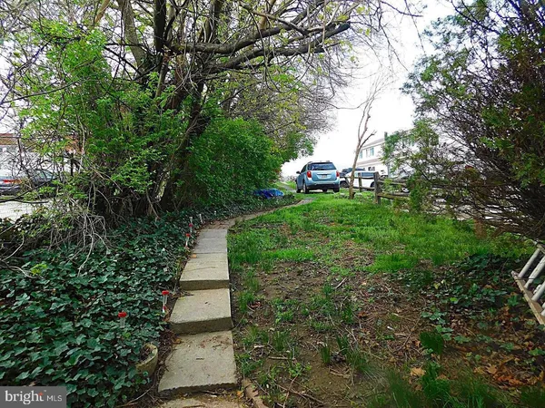 a view of a back yard