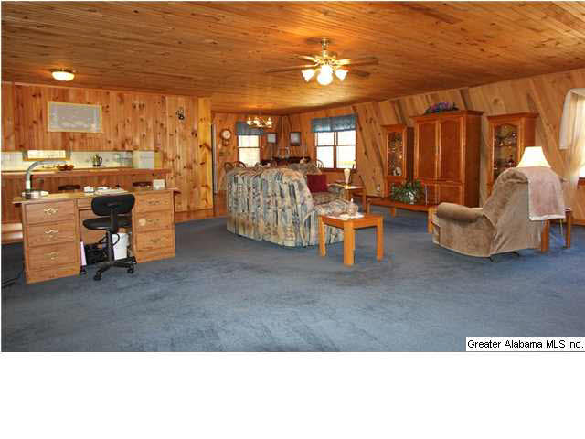 1019 County Road 233 Fruithurst, AL 36262 - Photo 3 of 32