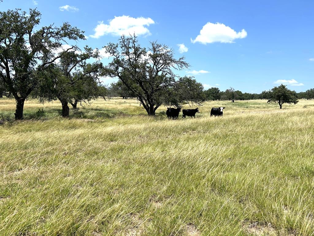 2240 South Ranch Road 783, Unit 8 Harper, TX 78631 - Photo 15 of 17 Gallery Image 15