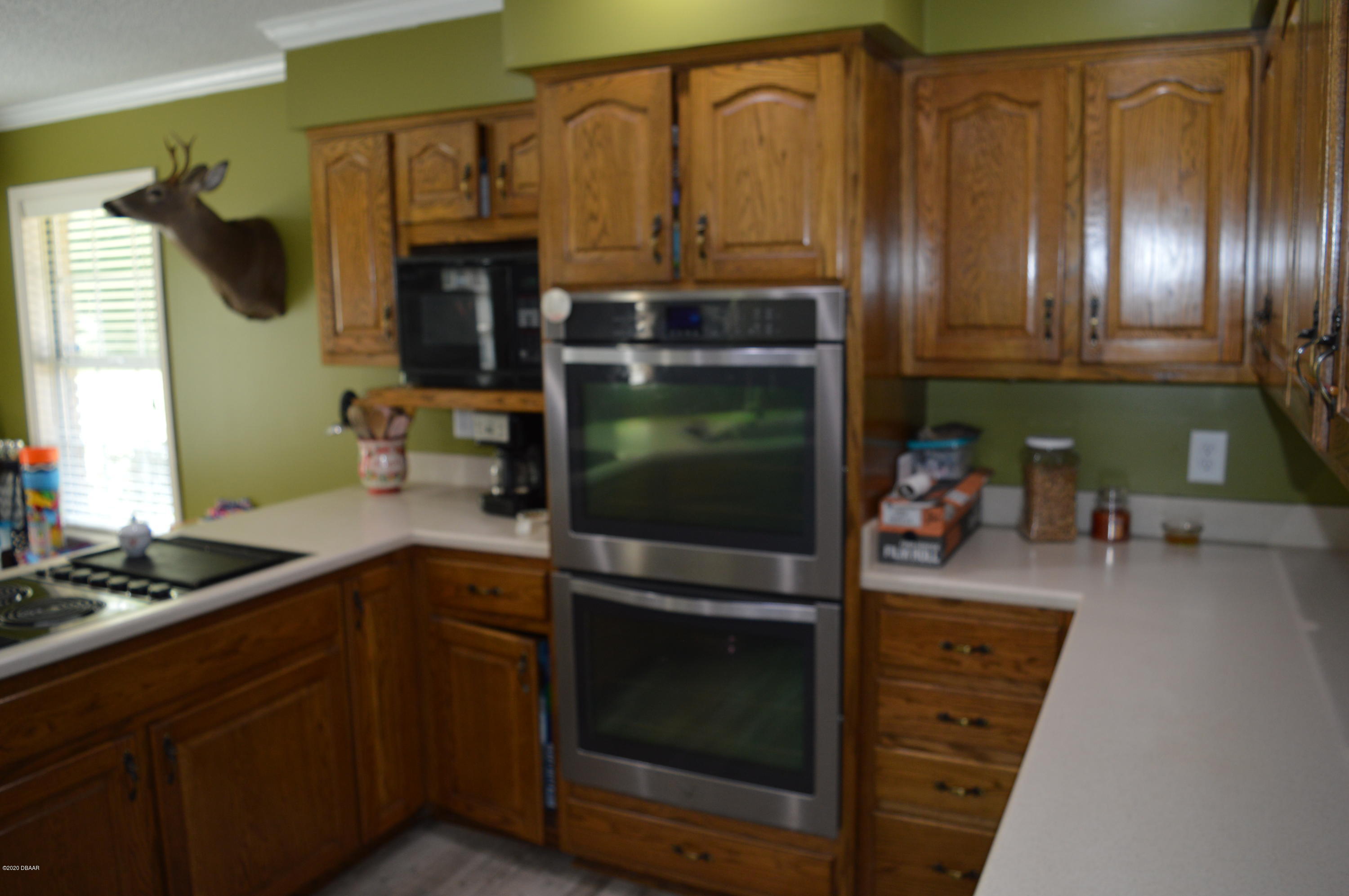 1904 Northwest Baltic Road Mayo, FL 32066 - Photo 35 of 62 DSC_0259