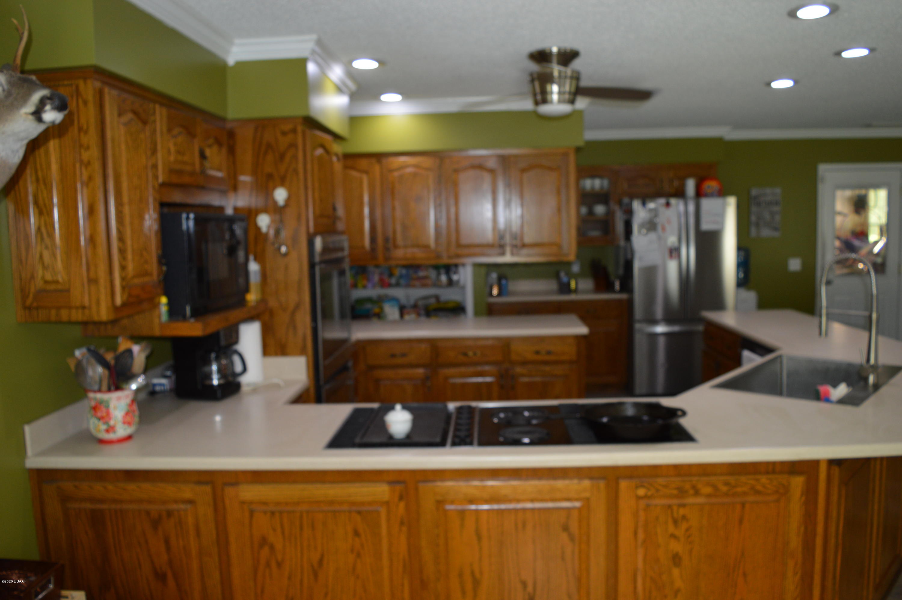 1904 Northwest Baltic Road Mayo, FL 32066 - Photo 36 of 62 DSC_0258