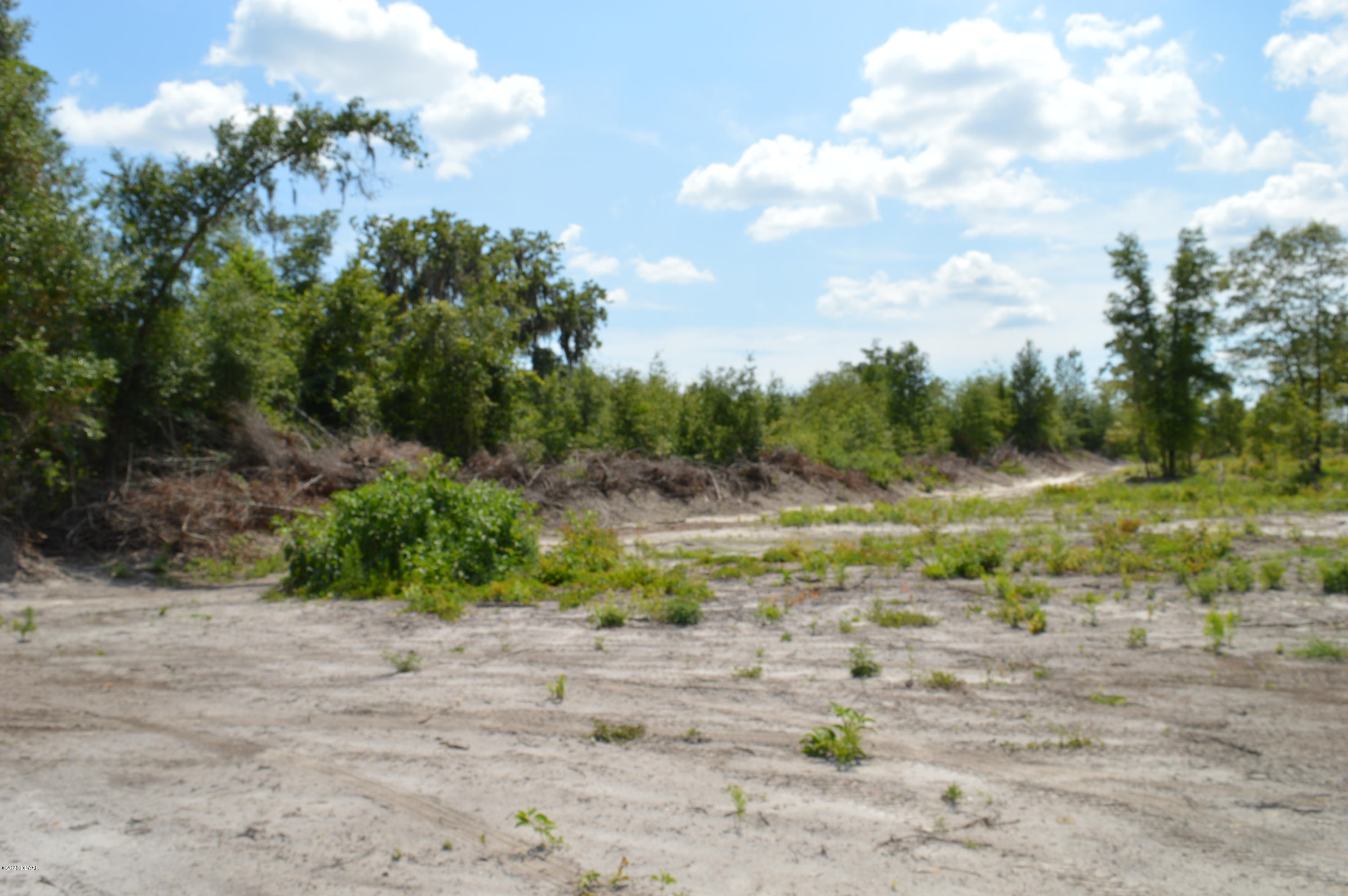 1904 Northwest Baltic Road Mayo, FL 32066 - Photo 42 of 62 DSC_0252