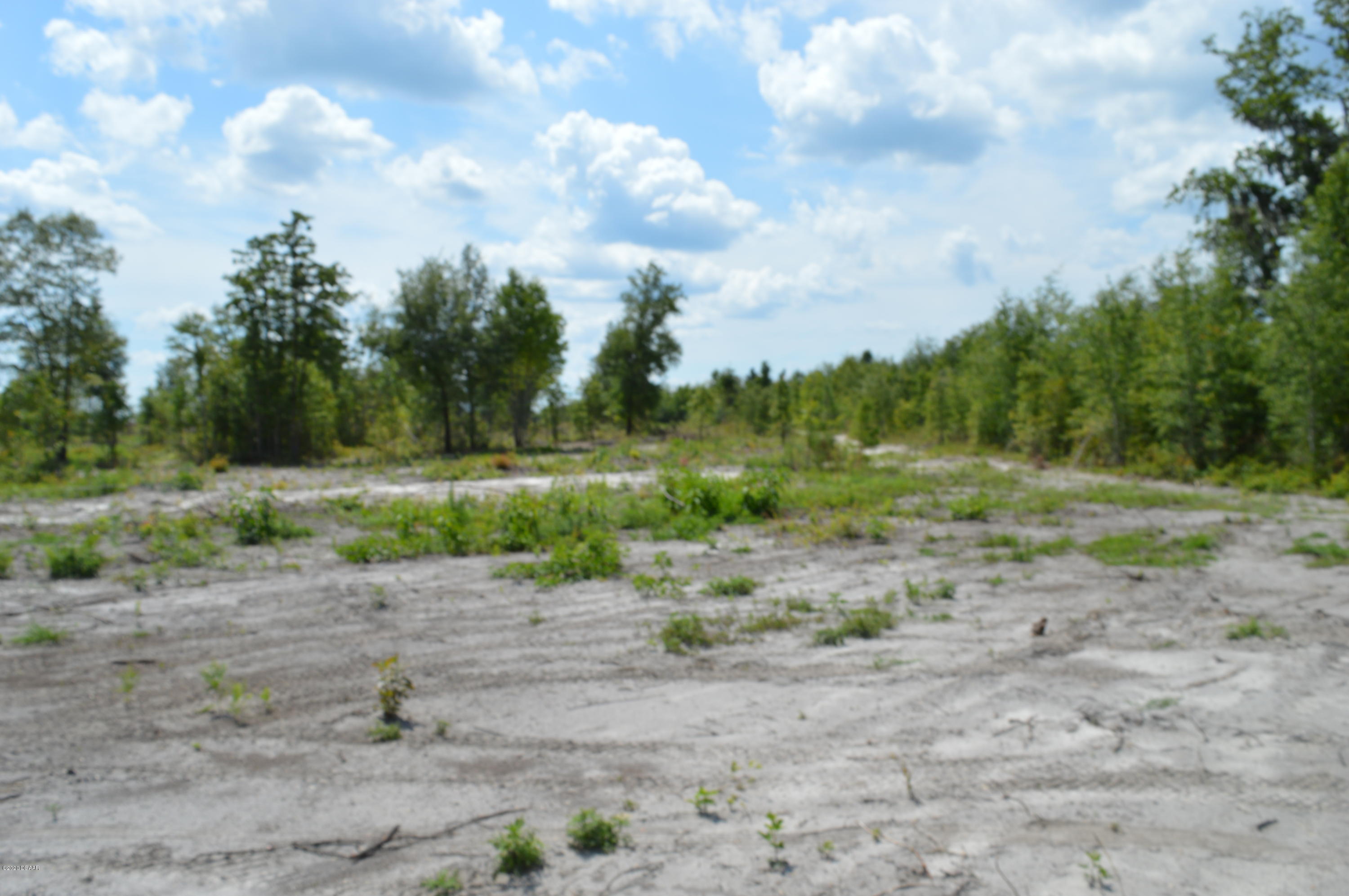 1904 Northwest Baltic Road Mayo, FL 32066 - Photo 43 of 62 DSC_0251