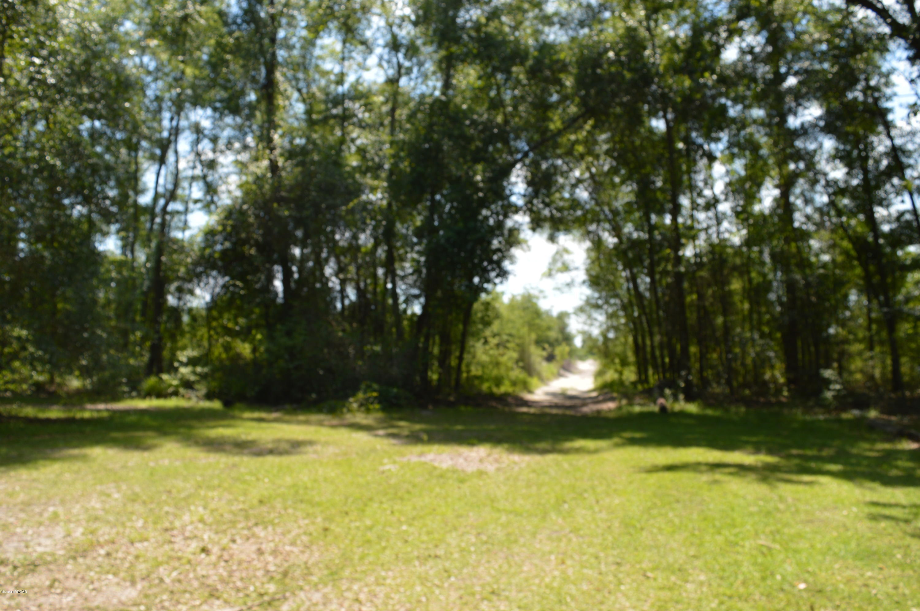 1904 Northwest Baltic Road Mayo, FL 32066 - Photo 45 of 62 DSC_0247
